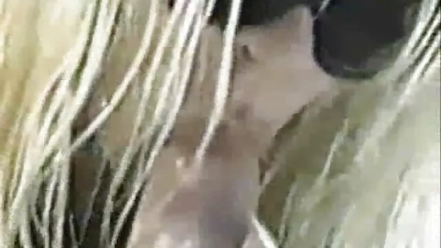 Schöne reife damen kostenlos japanische Küken